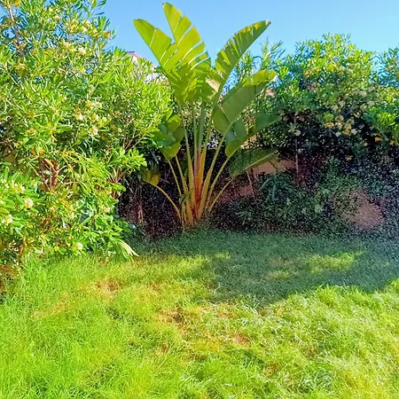 Onda Dorata