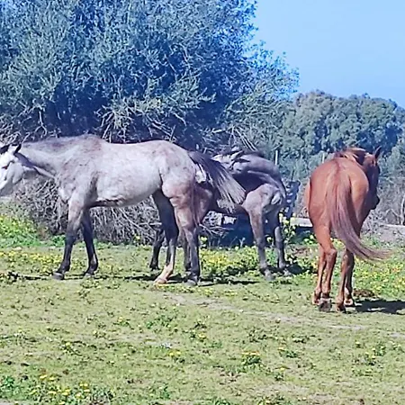 Onda Dorata * Valledoria (Sardinia)